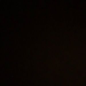 Meet your Posher, Dylan